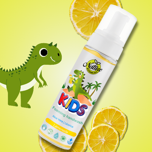 Nature Botanicals Germ Protection Foaming Handwash