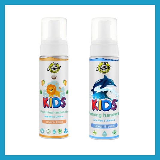 Nature Botanicals Germ Protection Foaming Handwash combo pack of 2