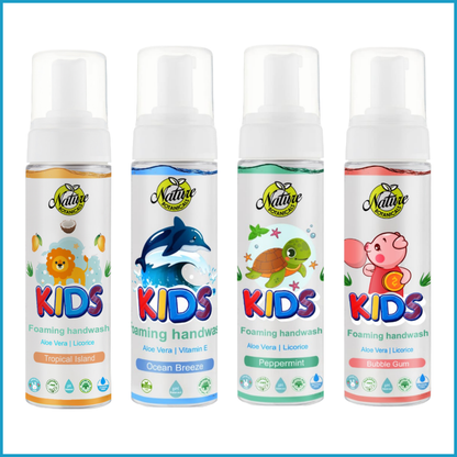 Nature Botanicals Germ Protection Foaming Handwash combo pack of 4