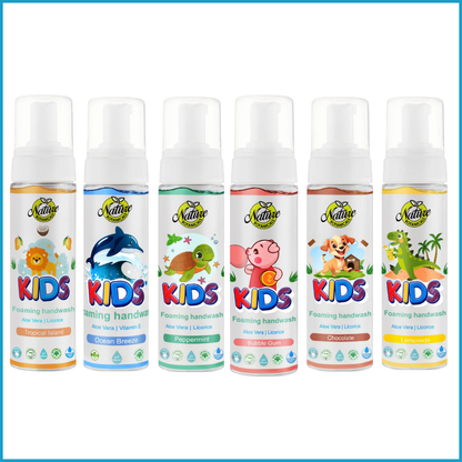 Nature Botanicals Germ Protection Foaming Handwash combo pack of 6