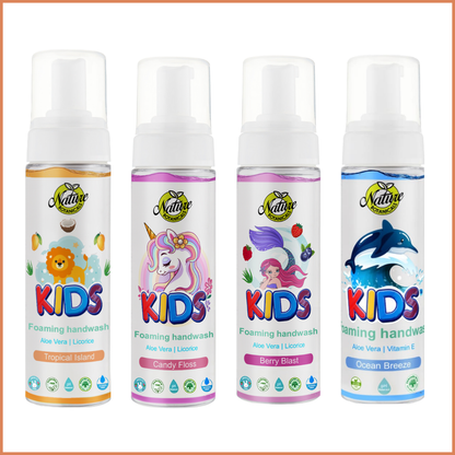 Nature Botanicals Germ Protection Foaming Handwash combo pack of 4