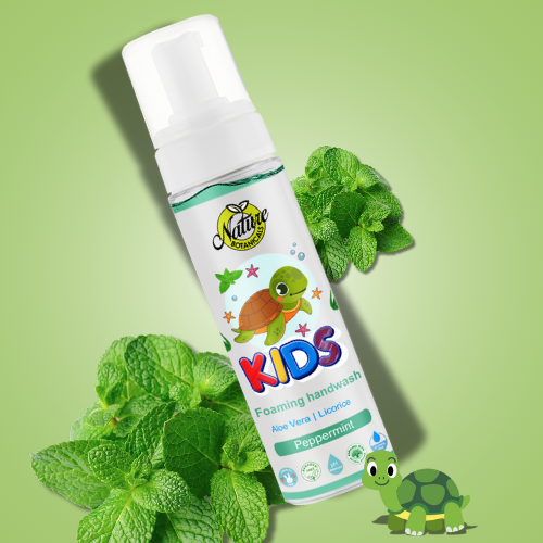Nature Botanicals Germ Protection Foaming Handwash