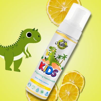 Nature Botanicals Germ Protection Foaming Handwash